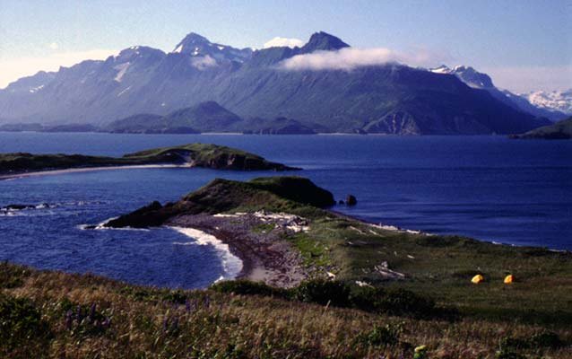 Alaska Airlines Dillingham Office in United States Alaska Airlines Dillingham Office in United States