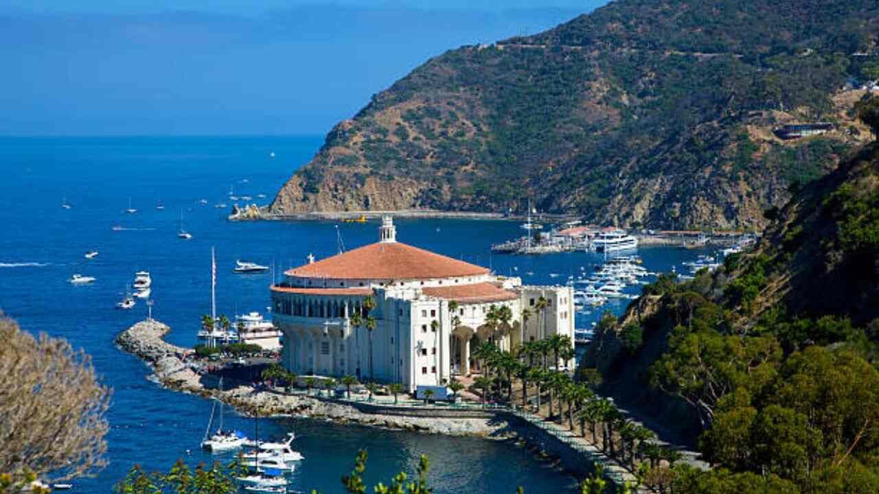 VietJet Air Avalon Office in Australia