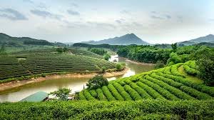 Vietravel Airlines Nghe An Office in Vietnam