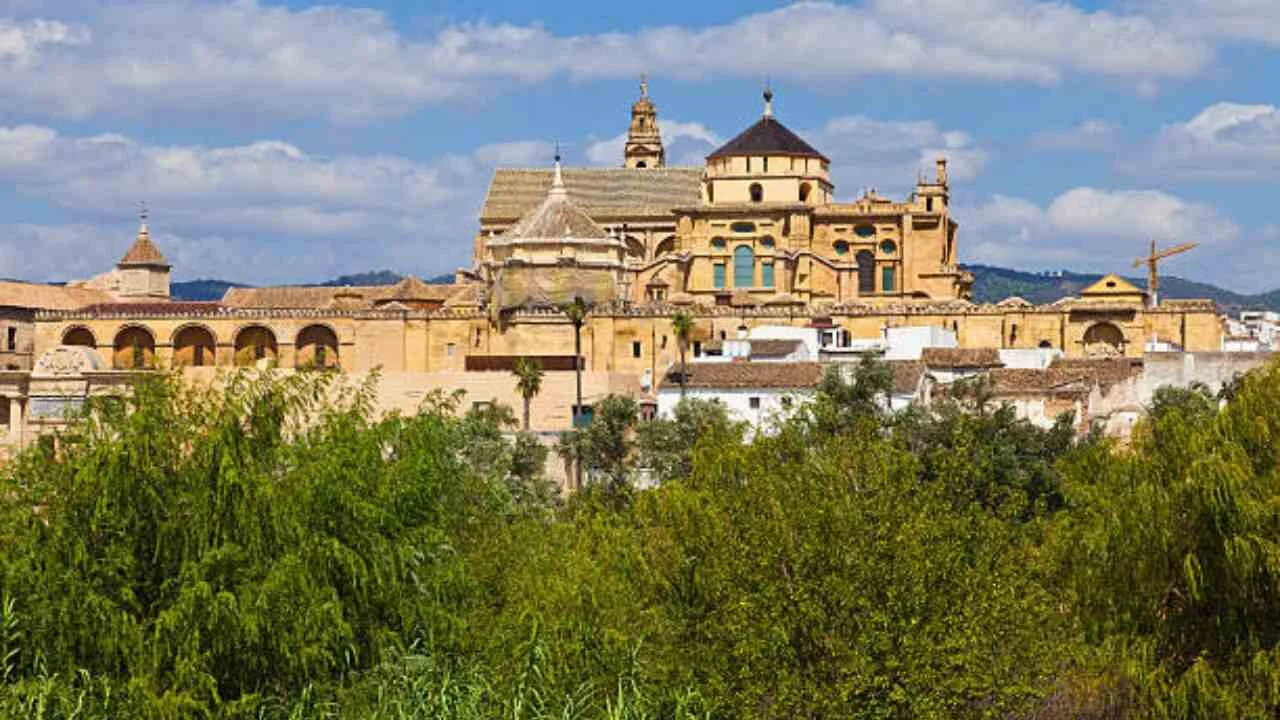 Flynas Hafer-al-Batin Office in Saudi Arabia