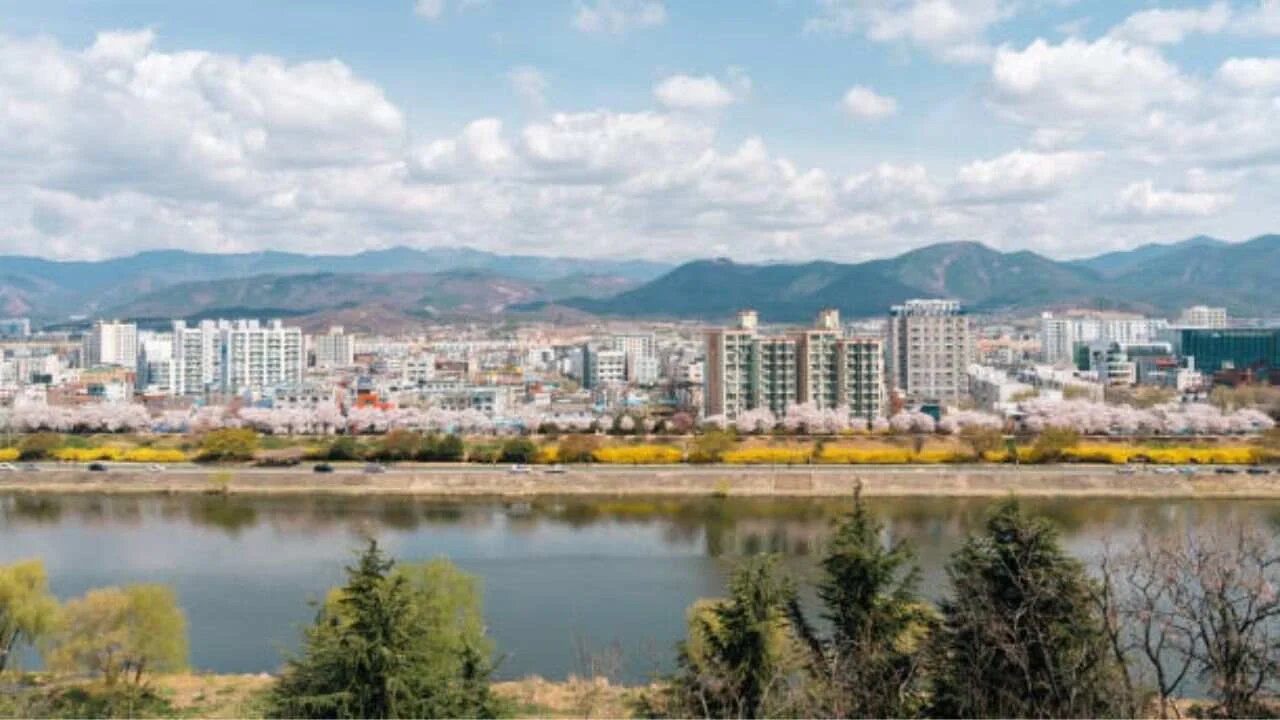 Flynas Jizan Office in Saudi Arabia