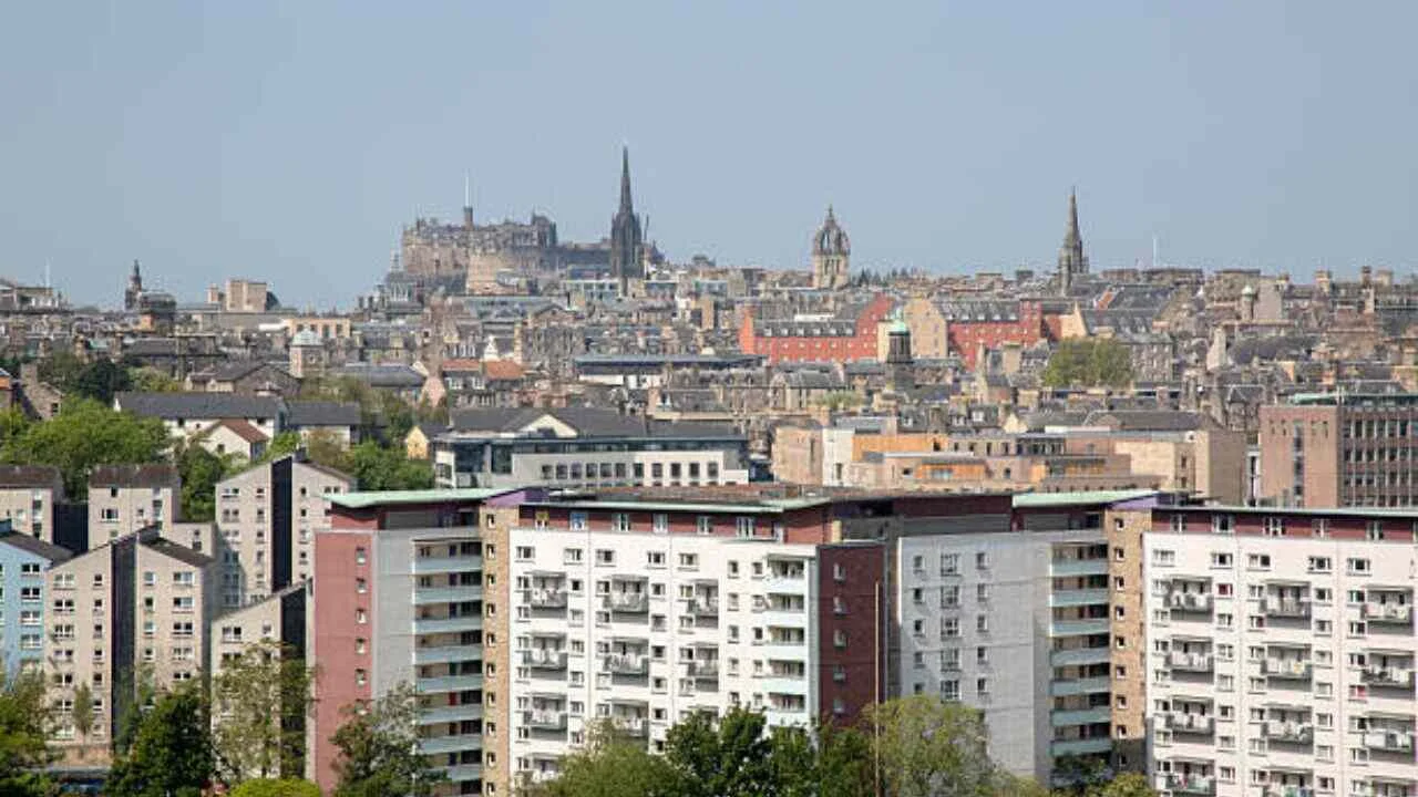 Flynas Mansours Office in Al Dakahlya Flynas Mansours Office in Al Dakahlya