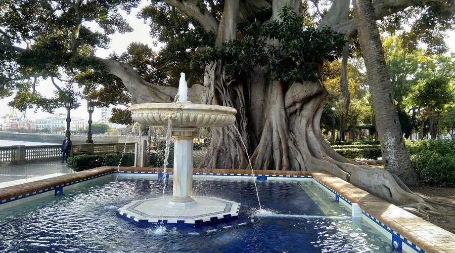 Air Transat Alameda Office in United States