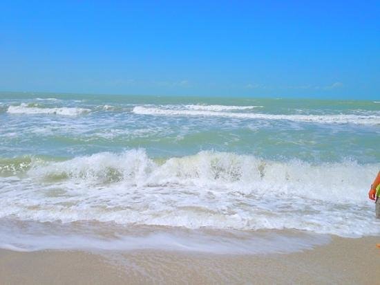 Viva Aerobus Ciudad del Carmen Office in Mexico