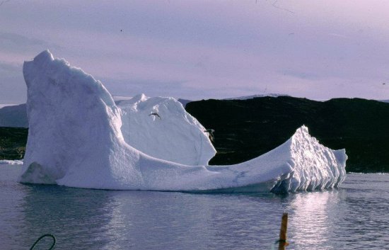Air Greenland Ikerasak Office in Greenland