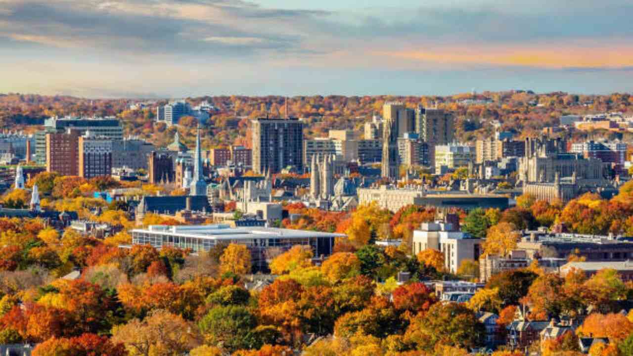 Avelo Airlines New Haven Office in Connecticut